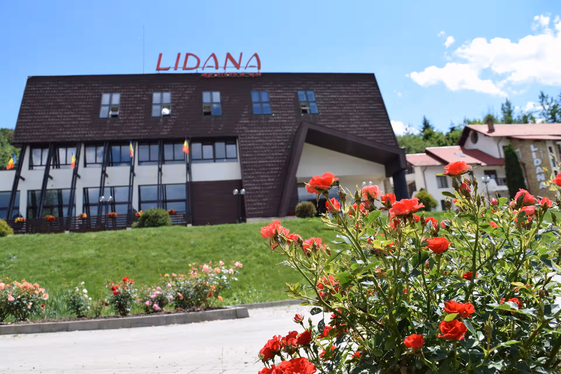 Domeniul de Poveste Lidana, hotel în Vama, Bucovina, fotografia 3