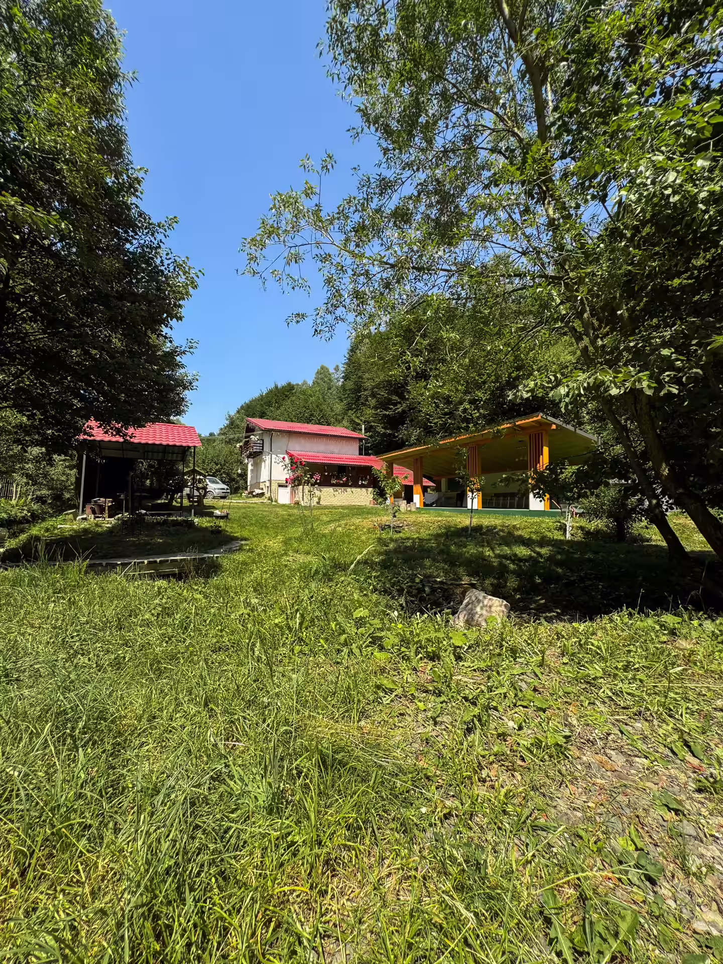 Di&D House așezată în mijlocul naturii, la poalele munților din Hunedoara Di&D House așezată în mijlocul naturii, la poalele munților din Hunedoara