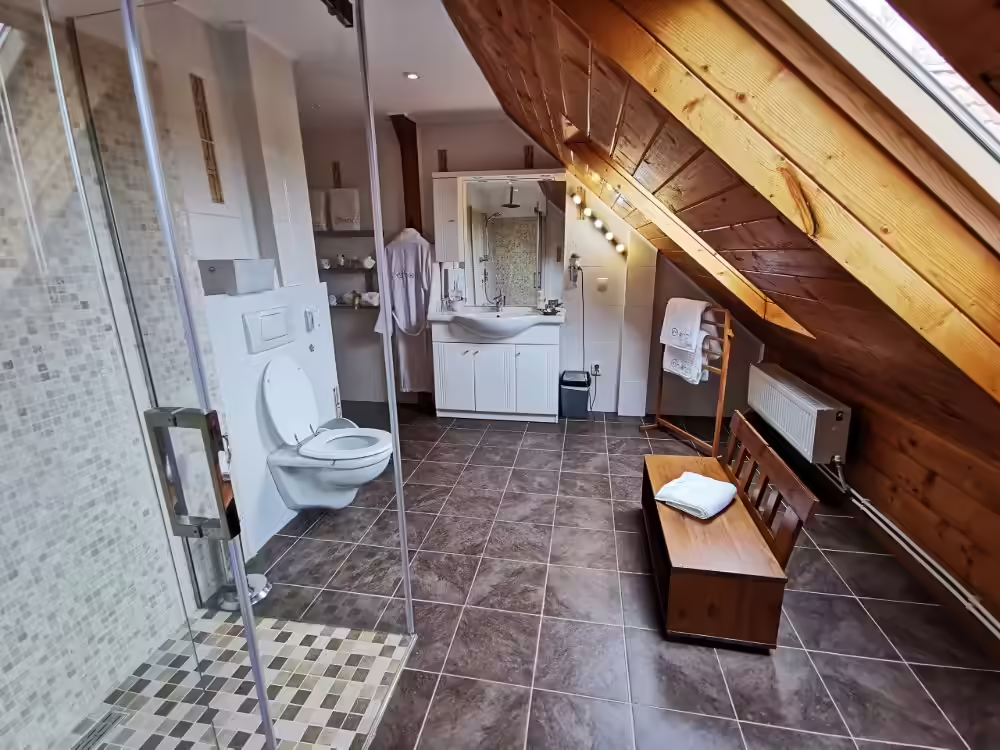 Baie cu cabină de duș și faianță decorativă la Ohana Boutique Hotel Viștișoara