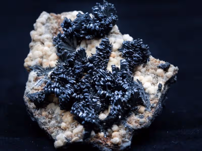 Muzeul de Mineralogie UBB din Cluj-Napoca, România, fotografia 11