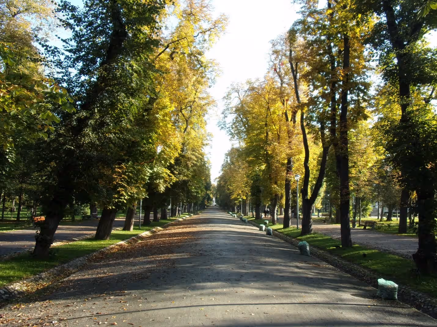 Parcul Central Simion Bărnuțiu din Cluj-Napoca, România, fotografia 10 Parcul Central Simion Bărnuțiu din Cluj-Napoca, România, fotografia 10