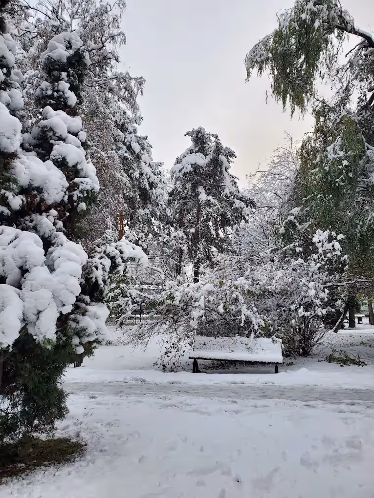 Parcul Universității Suceava din Suceava, România, fotografia 12