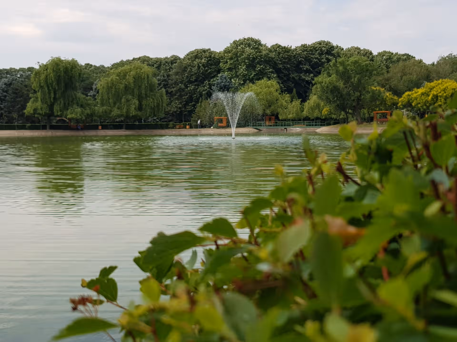 Parcul Regele Mihai I al României din Ploiești, România Parcul Regele Mihai I al României din Ploiești, România