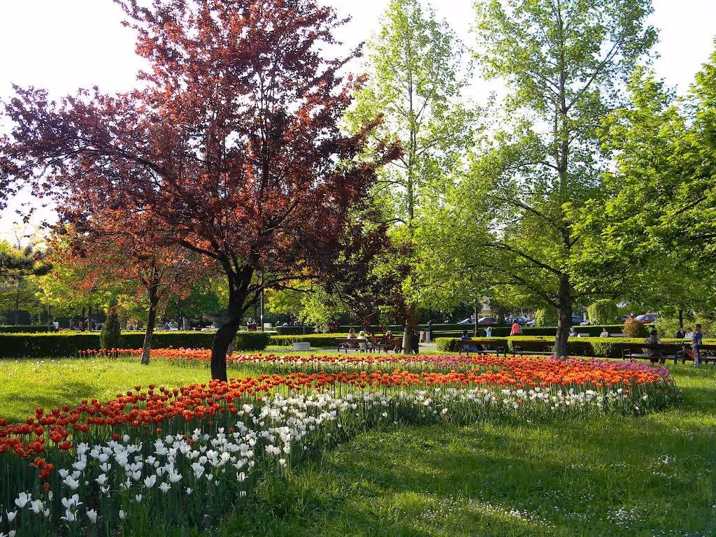 Parcul Nicolae Titulescu din Brașov, România, fotografia 13 Parcul Nicolae Titulescu din Brașov, România, fotografia 13