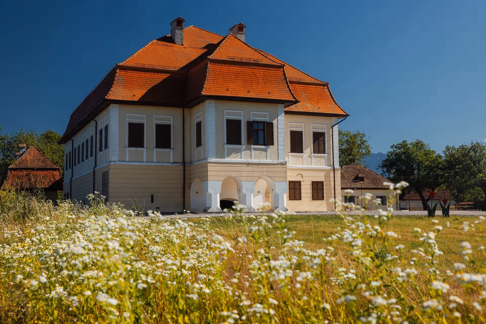 Castelul Brâncoveanu cu flori de câmp în prim plan