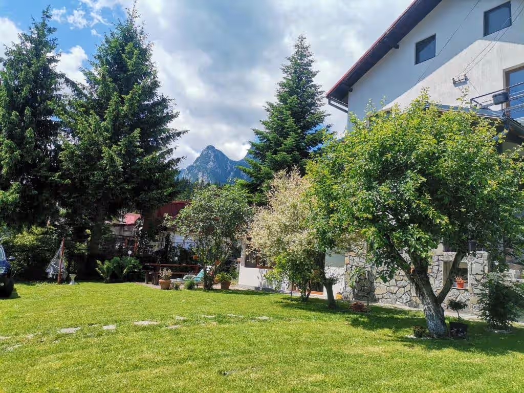 Zoso Home, cazare cu camere cu baie proprie în Bușteni, Valea Prahovei, fotografia 7