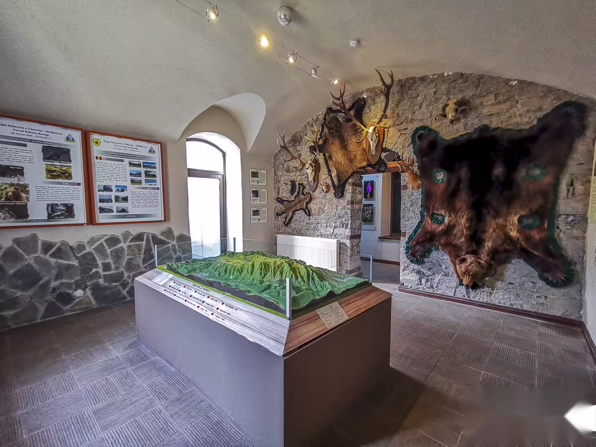 Machetă a munților Bucegi și blană de urs în Castelul Știrbey Sinaia