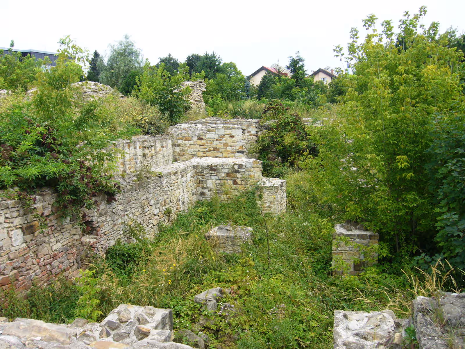 Curtea Domnească din Suceava din Suceava, România, fotografia 2