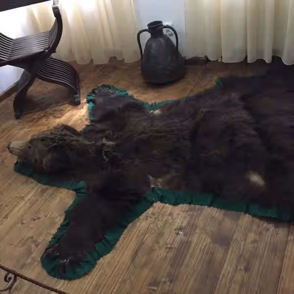 Muzeul Vămii Medievale Bran din Bran, România, fotografia 2