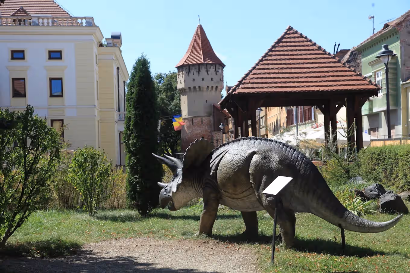Muzeul de Istorie Naturală Sibiu din Sibiu, România, fotografia 5 Muzeul de Istorie Naturală Sibiu din Sibiu, România, fotografia 5