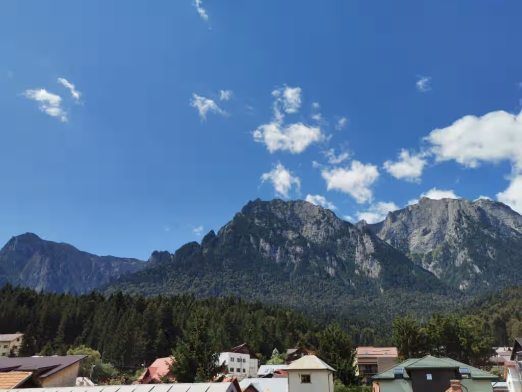 Zoso Home, cazare cu camere cu baie proprie în Bușteni, Valea Prahovei, fotografia 18