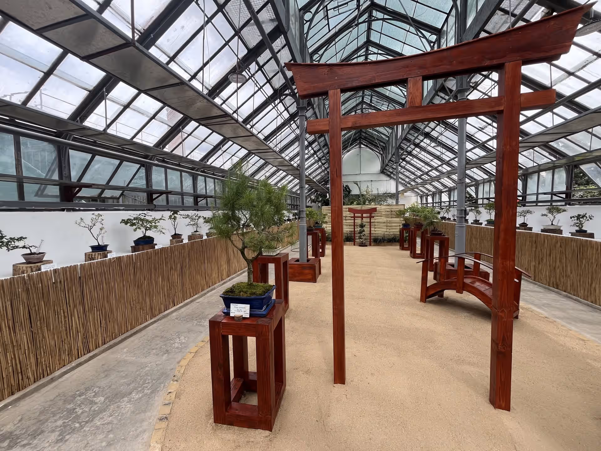 Grădina Botanică Alexandru Borza din Cluj-Napoca, România, fotografia 3