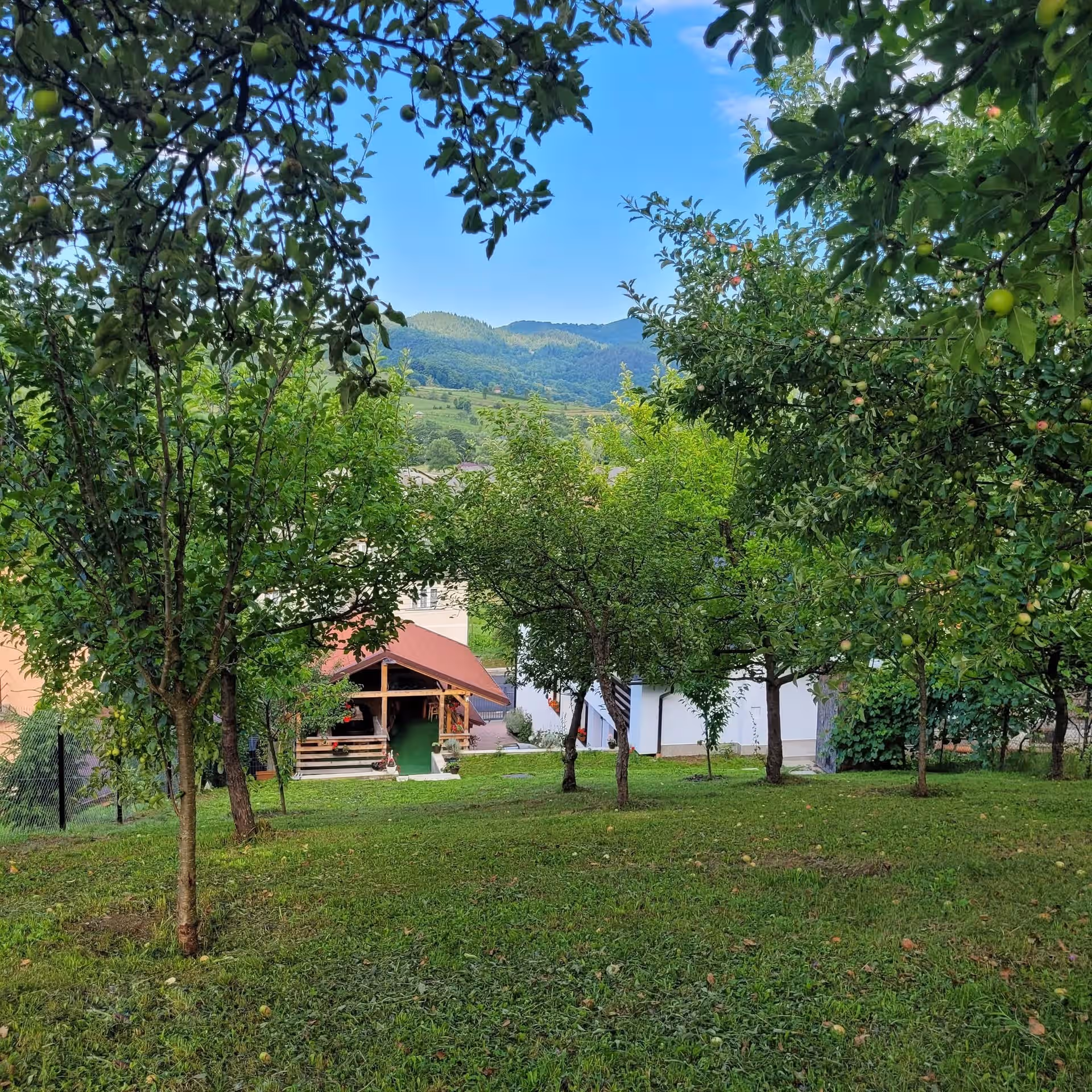 Casa Dalina În Maramureș din Rona de Jos, România, fotografia 5 Casa Dalina În Maramureș din Rona de Jos, România, fotografia 5