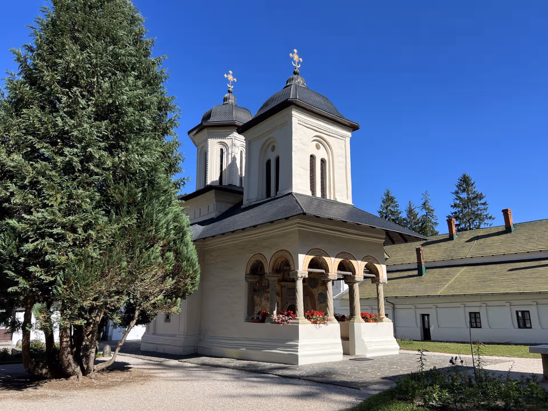 Turla Bisericii Vechi a Mănăstirii Sinaia lângă brazi înalți