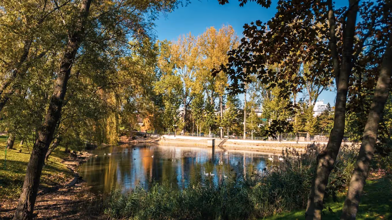 Parcul de Agrement Tătărași din Suceava, România, fotografia 9
