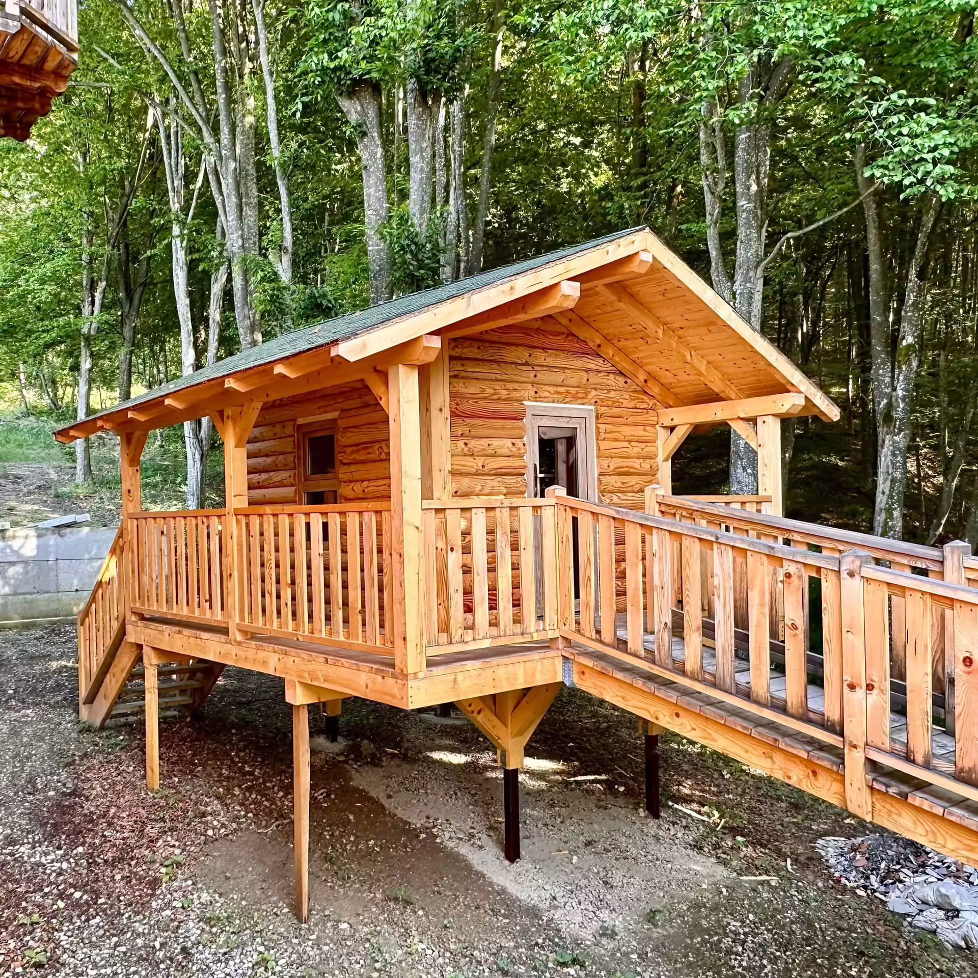 Căsuța în copac din lemn de la Cabana Lacasata, Codlea Căsuța în copac din lemn de la Cabana Lacasata, Codlea