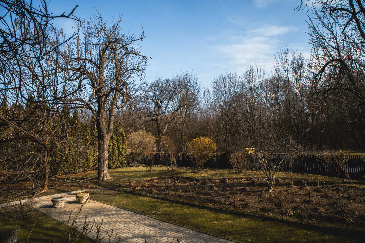 Parcul cu arbori seculari al Conacului Bellu din Urlați Parcul cu arbori seculari al Conacului Bellu din Urlați