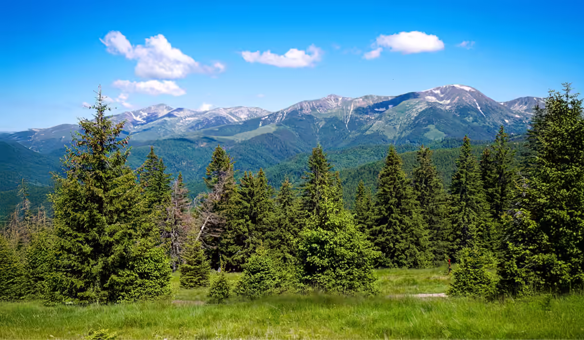 Panoramă spre Munții Parâng din stațiunea Rânca, vara