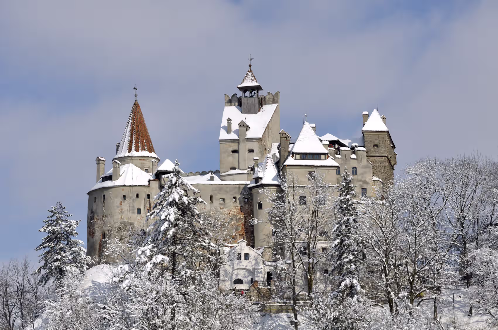 Castelul Bran iarna, acoperit de zăpadă, printre brazi înzăpeziți Castelul Bran iarna, acoperit de zăpadă, printre brazi înzăpeziți