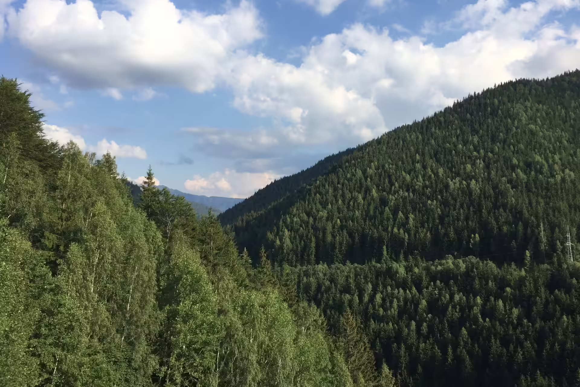 Pădurile de munte din jurul satului Sătic, comuna Rucăr, județul Argeș Pădurile de munte din jurul satului Sătic, comuna Rucăr, județul Argeș