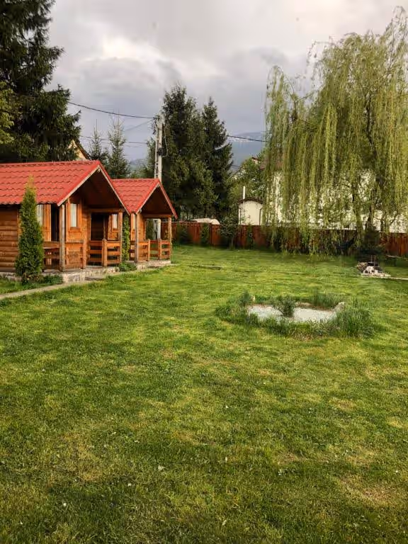 Pensiunea Ioana din Borșa, România, fotografia 2