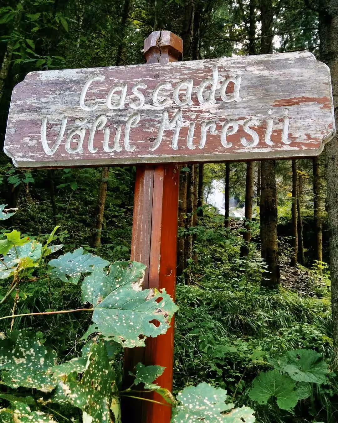 Cascada Răchițele, Vălul Miresei din Răchițele, România, fotografia 4