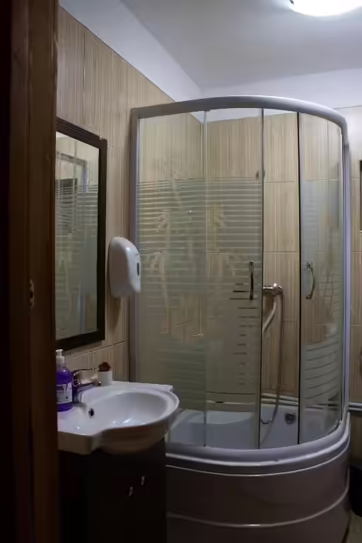 Baie cu cabină de duș și lavoar la Cabana din Pădurea Beliș