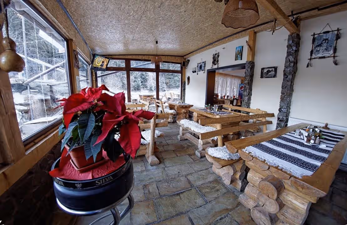 Pensiunea La Sishe din Valea Putnei, România, fotografia 11
