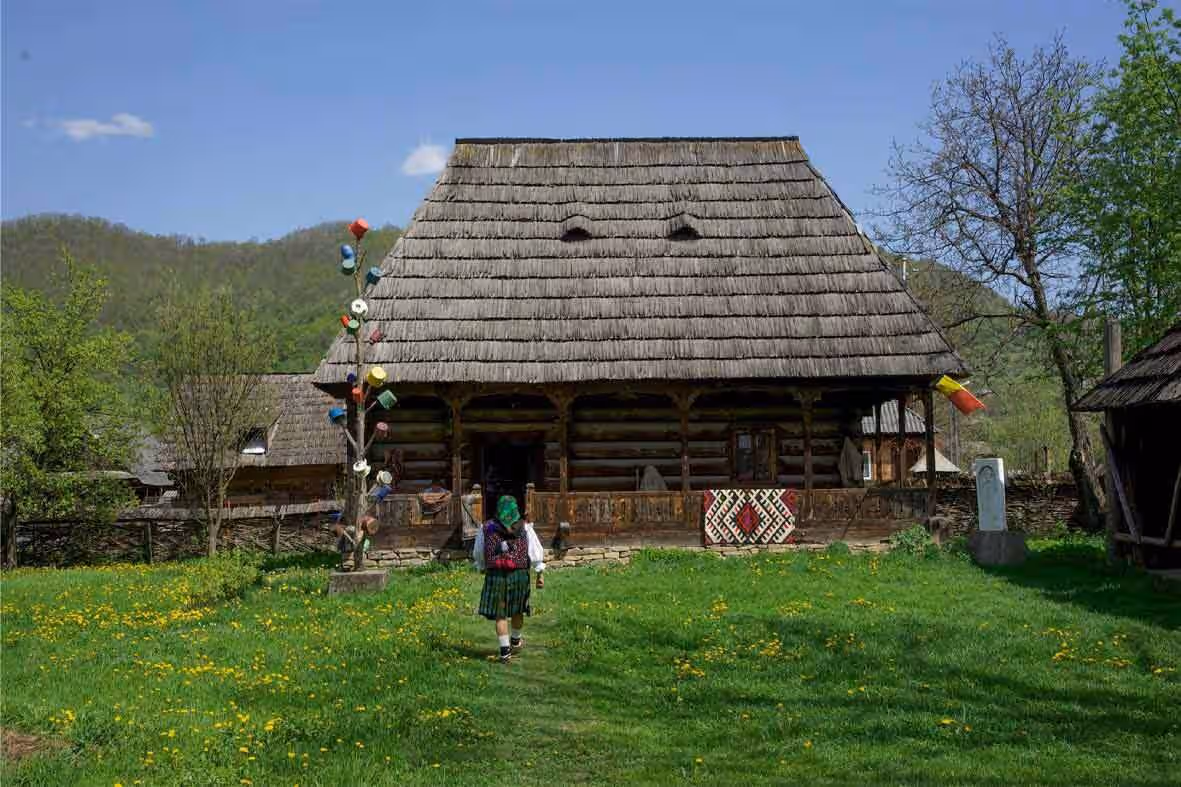 Muzeul Țărăncii Române din Dragomirești, România, fotografia 15 Muzeul Țărăncii Române din Dragomirești, România, fotografia 15