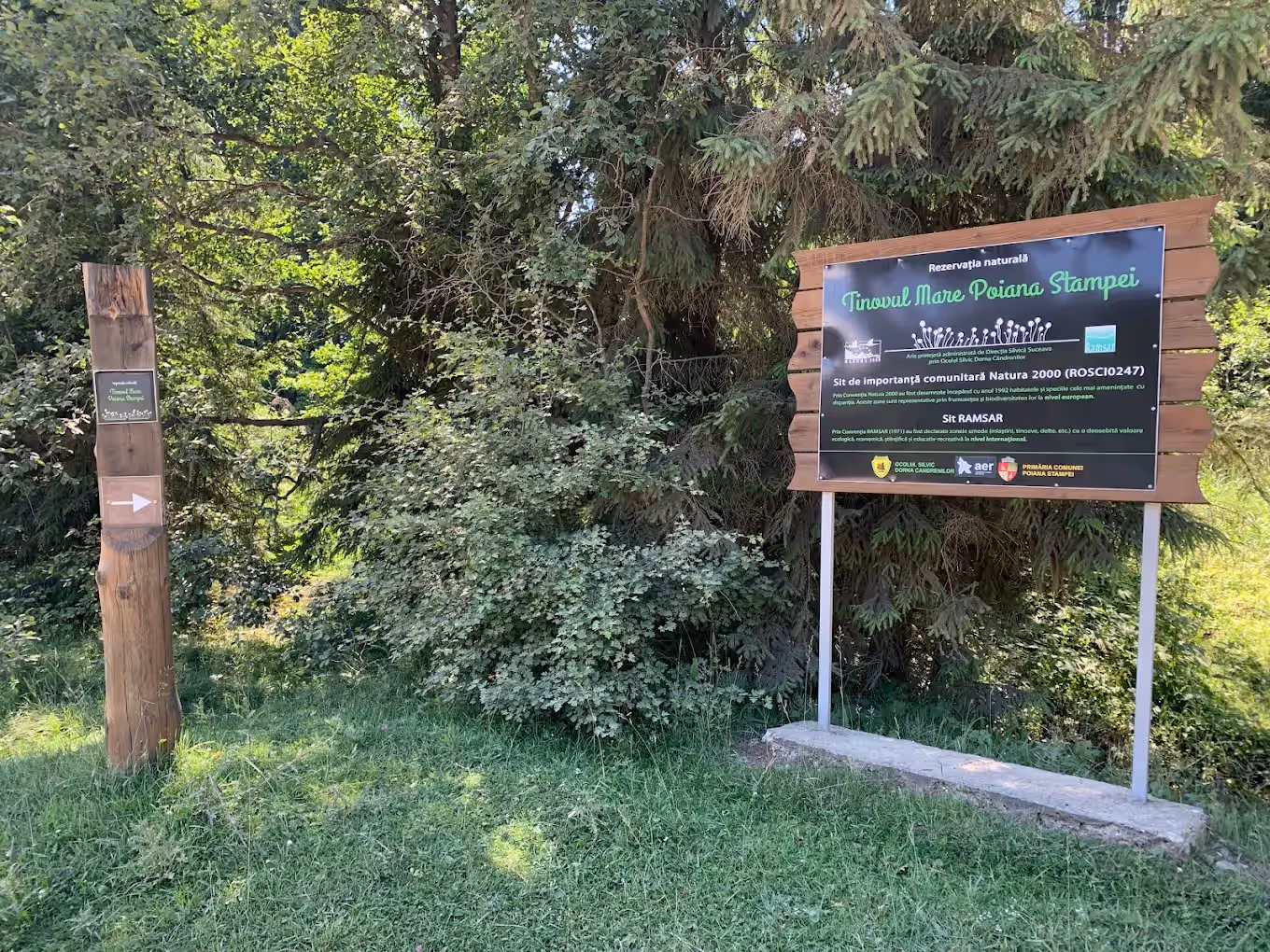 Rezervația Tinovul Mare Poiana Stampei din Poiana Stampei, România, fotografia 5