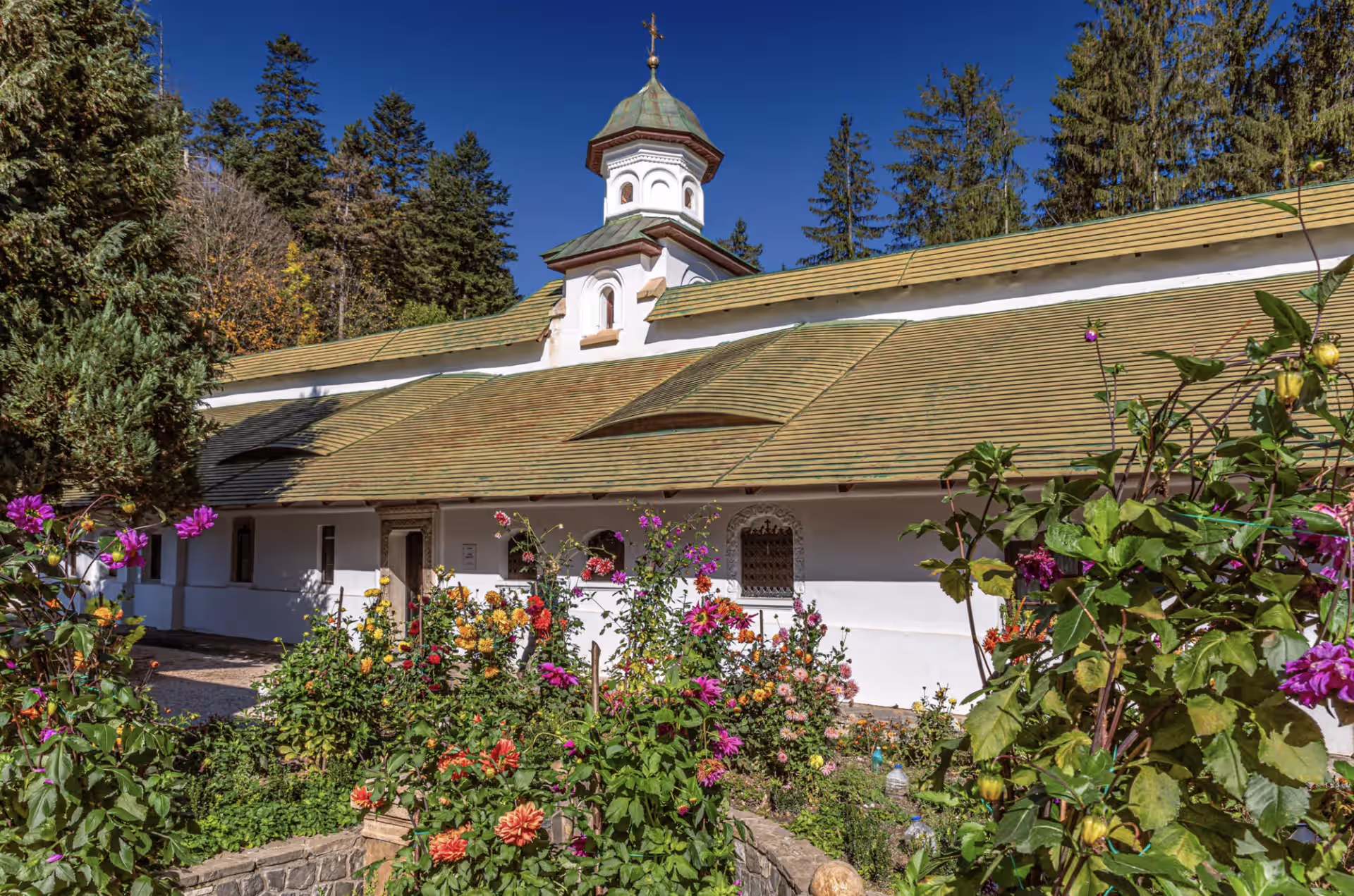 Biserica Veche și chiliile Mănăstirii Sinaia printre flori și brazi