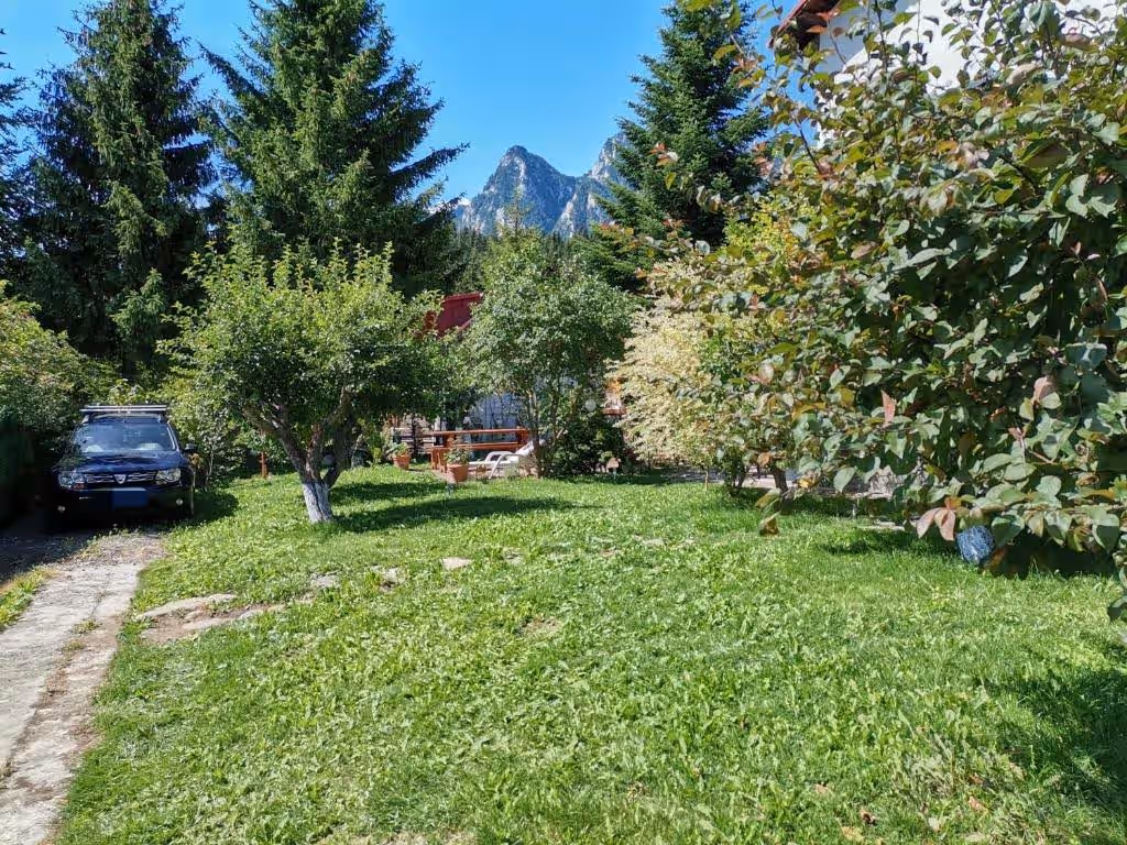 Zoso Home, cazare cu camere cu baie proprie în Bușteni, Valea Prahovei, fotografia 2