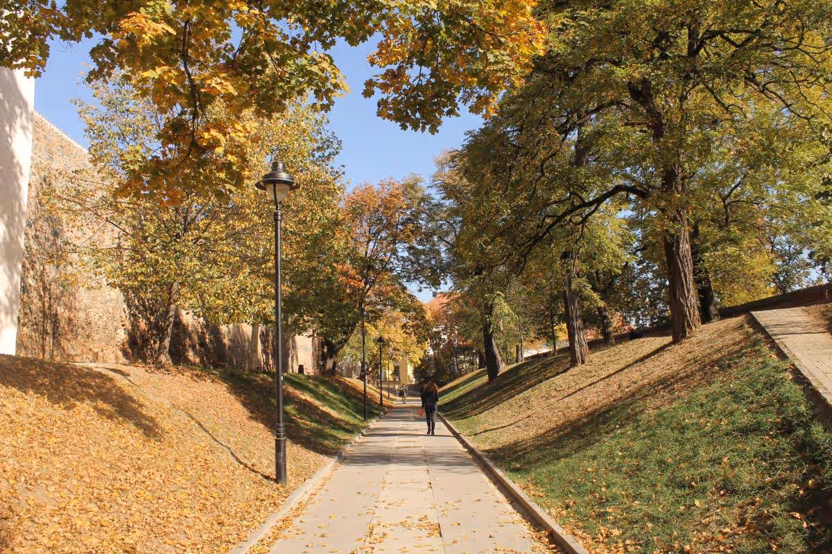 Parcul Cetății din Sibiu, România, fotografia 2