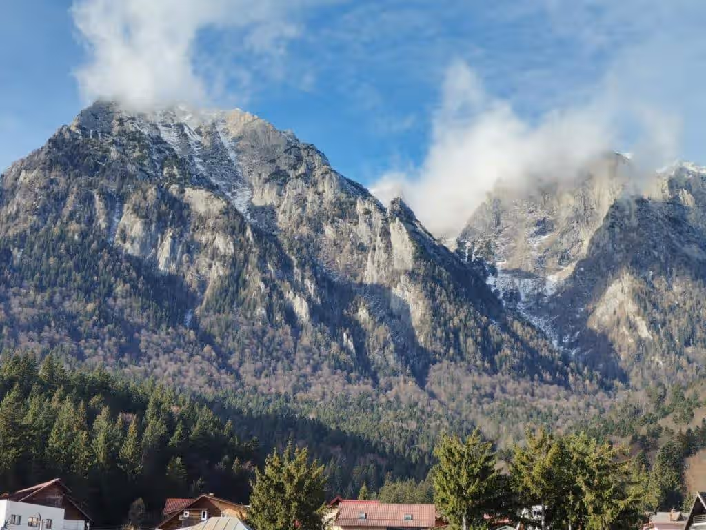 Zoso Home, cazare cu camere cu baie proprie în Bușteni, Valea Prahovei, fotografia 38