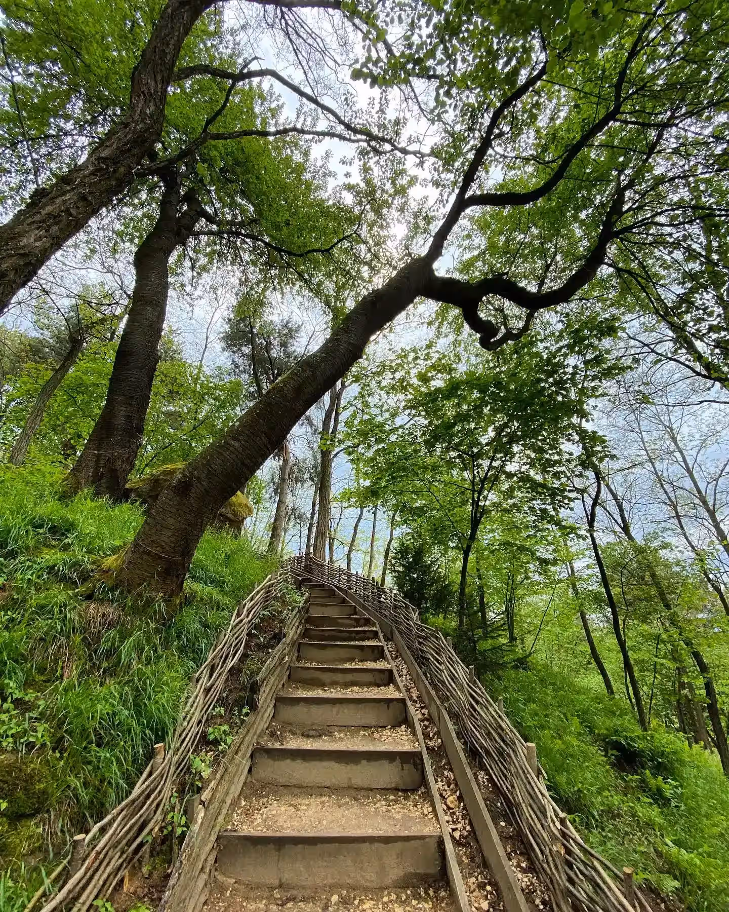 Mănăstirea Rupestră Șinca Veche din Șinca Veche, România, fotografia 6