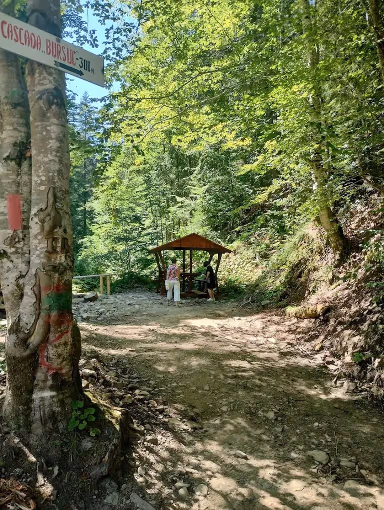 Cascada Bursuc din Putna, România, fotografia 7 Cascada Bursuc din Putna, România, fotografia 7