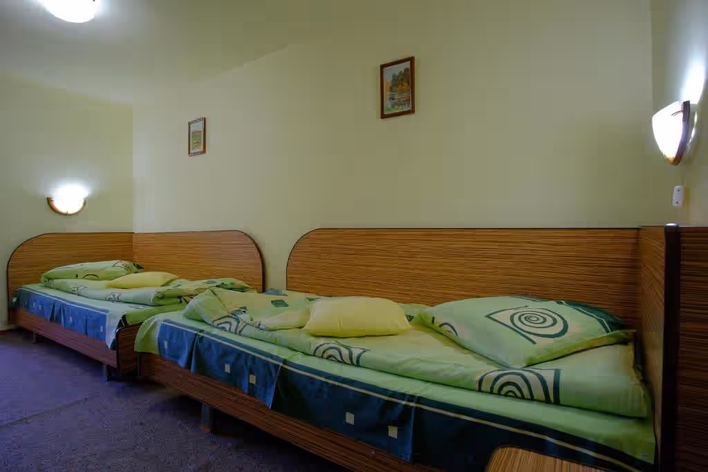 Pensiunea Sebastian din Bușteni, România, fotografia 23