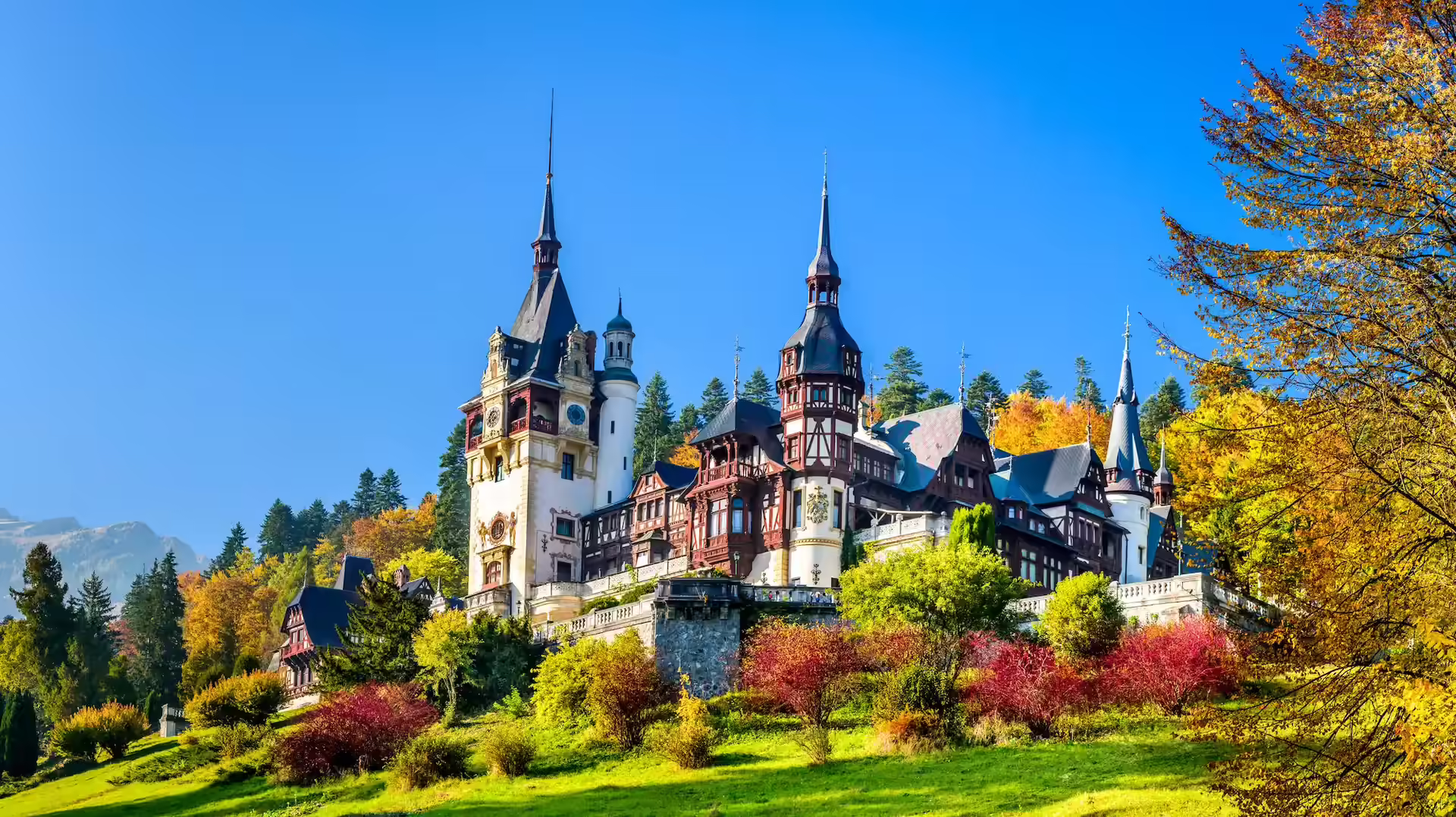 Castelul Peleș din Sinaia în peisajul colorat de toamnă, cu turnurile și fațada regală Castelul Peleș din Sinaia în peisajul colorat de toamnă, cu turnurile și fațada regală