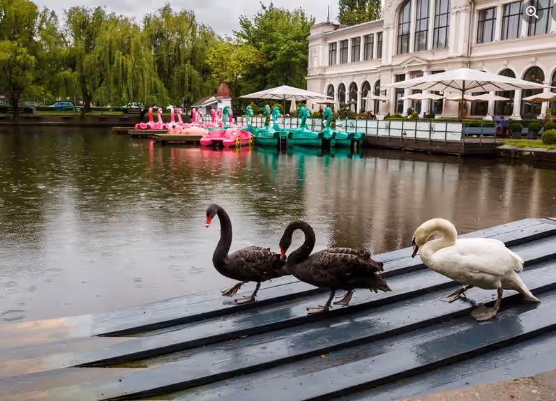 Parcul Central Simion Bărnuțiu din Cluj-Napoca, România, fotografia 6 Parcul Central Simion Bărnuțiu din Cluj-Napoca, România, fotografia 6