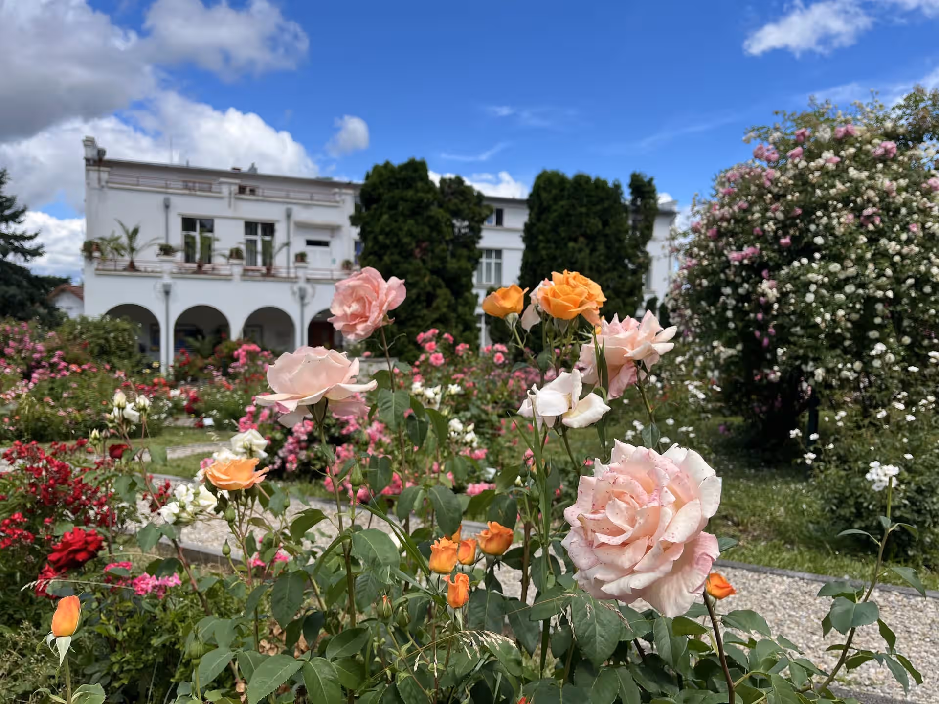 Grădina Botanică Alexandru Borza din Cluj-Napoca, România, fotografia 2