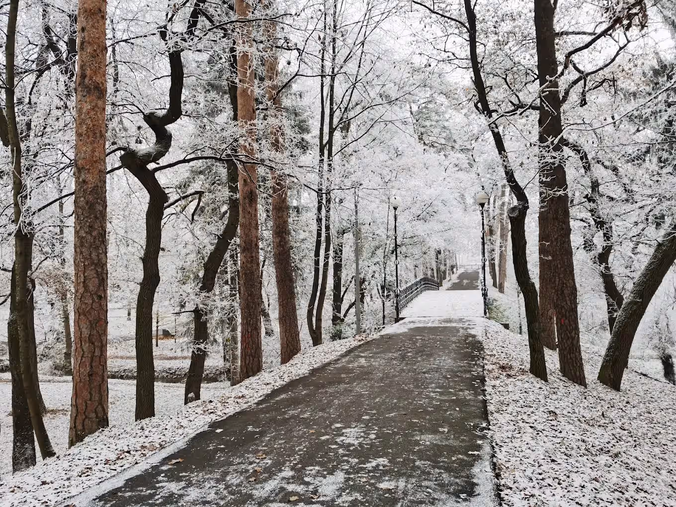 Parcul Sub Arini din Sibiu, România, fotografia 6 Parcul Sub Arini din Sibiu, România, fotografia 6