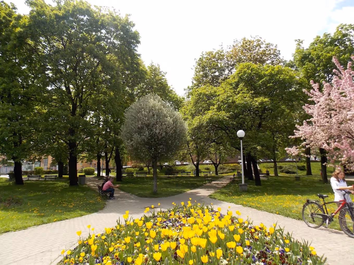 Parcul Tineretului din Sibiu, România, fotografia 6