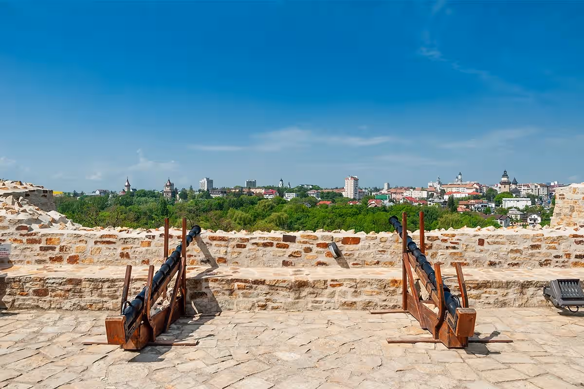 Cetatea de Scaun a Sucevei din Suceava, România
