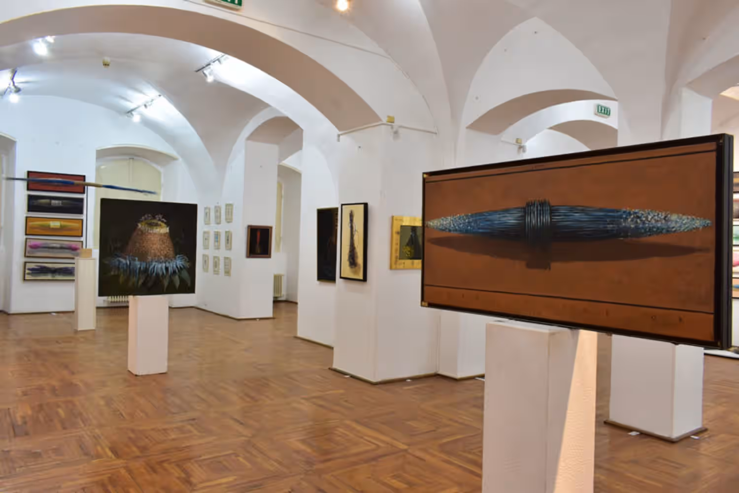 Muzeul de Artă Cluj-Napoca din Cluj-Napoca, România, fotografia 6 Muzeul de Artă Cluj-Napoca din Cluj-Napoca, România, fotografia 6
