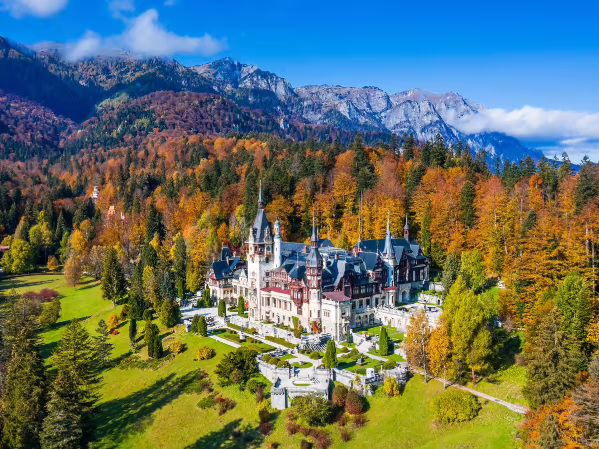 Vedere aeriană a Castelului Peleș din Sinaia, înconjurat de pădurea de brazi Vedere aeriană a Castelului Peleș din Sinaia, înconjurat de pădurea de brazi