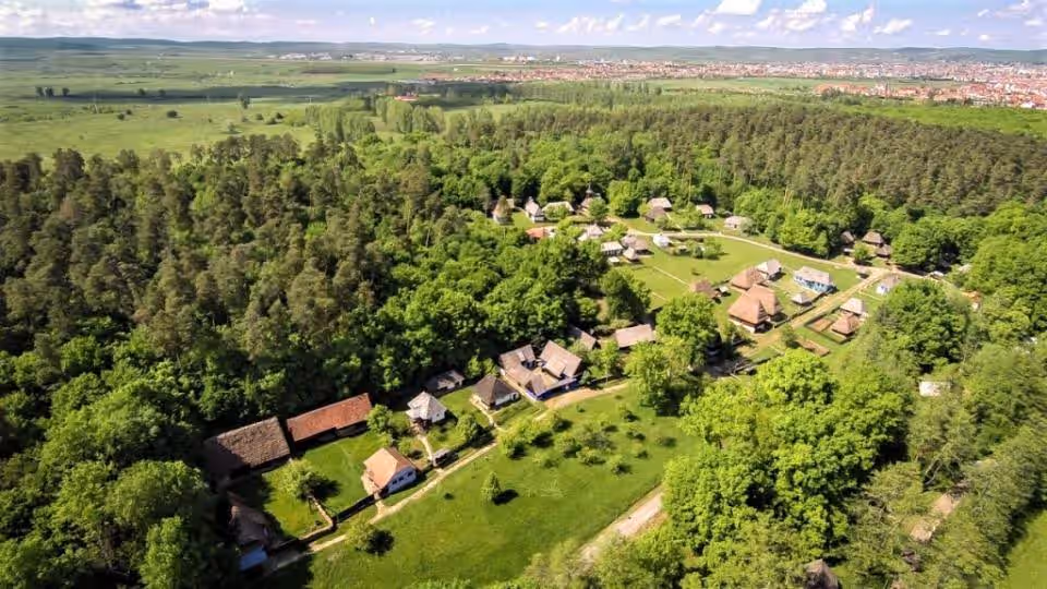 Parcul Natural Dumbrava Sibiului din Sibiu, România, fotografia 3