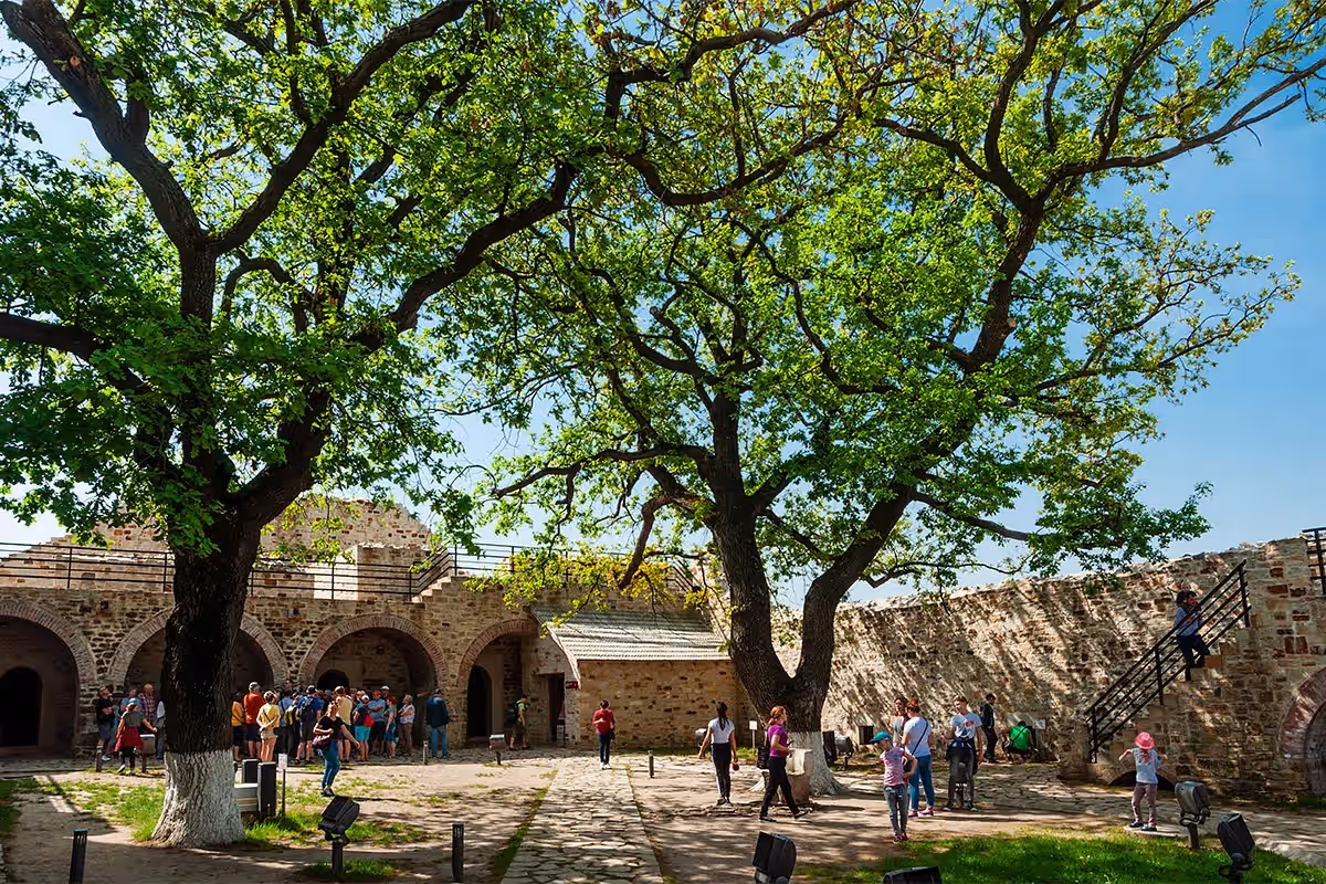Cetatea de Scaun a Sucevei din Suceava, România