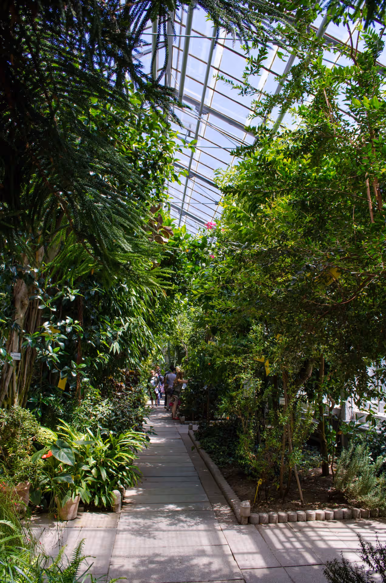 Grădina Botanică Alexandru Borza din Cluj-Napoca, România, fotografia 12