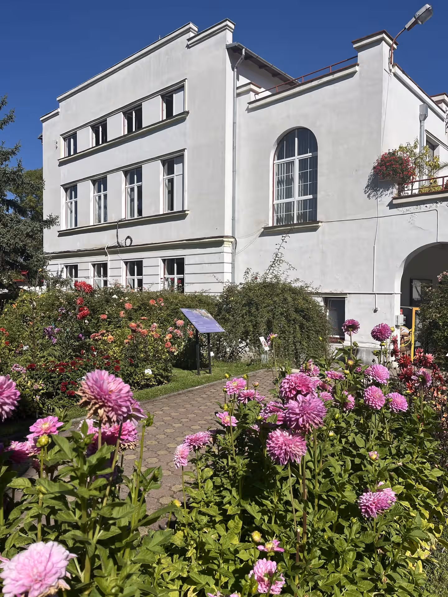 Grădina Botanică Alexandru Borza din Cluj-Napoca, România, fotografia 5