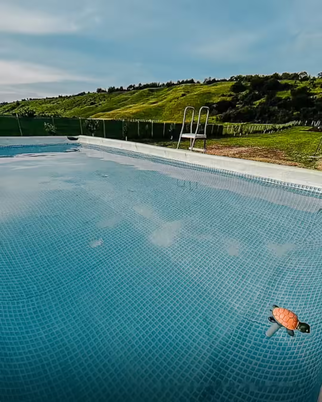 Piscina cu apă limpede la Vila Kalibu, Piatra-Neamț